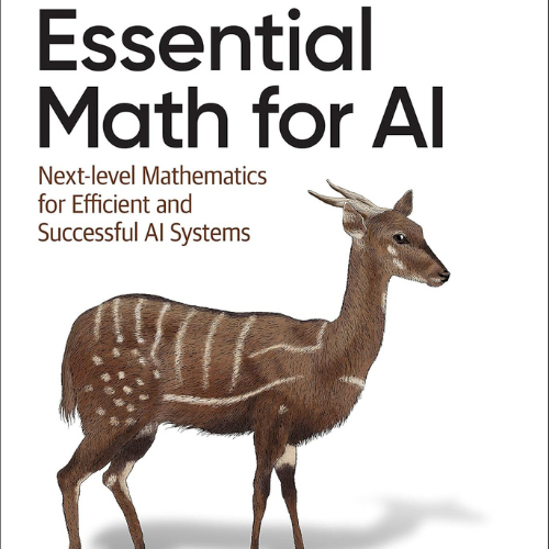 Essential Math for AI Next-Level Books Sale